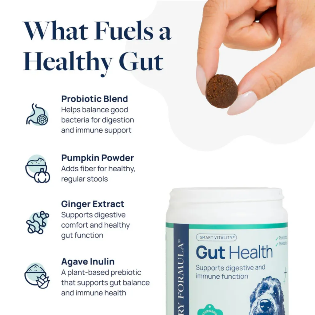Synergy Labs Veterinary Formula Gut Health Formulated Probiotic Chews Supplement for Dogs – 225g [Count - 60] (1).webp
