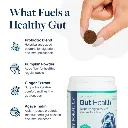 Synergy Labs Veterinary Formula Gut Health Formulated Probiotic Chews Supplement for Dogs – 225g [Count - 60] (1).webp