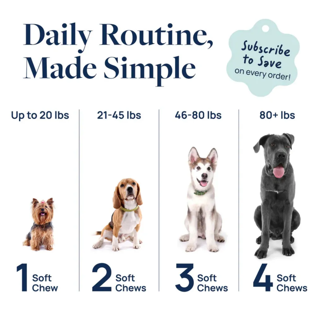 Synergy Labs Veterinary Formula Gut Health Formulated Probiotic Chews Supplement for Dogs – 225g [Count - 60] (6).webp