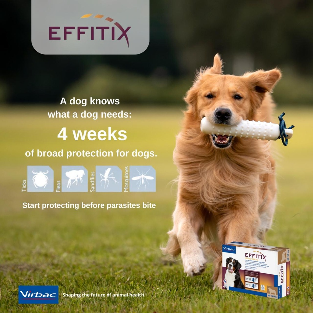 VIRBAC | Effitix TGN X4 (40-60 kg) | 4 Ampules