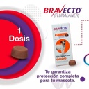 MSD | BRAVECTO 250 mg (4.5-10 kg) | 1 tablet
