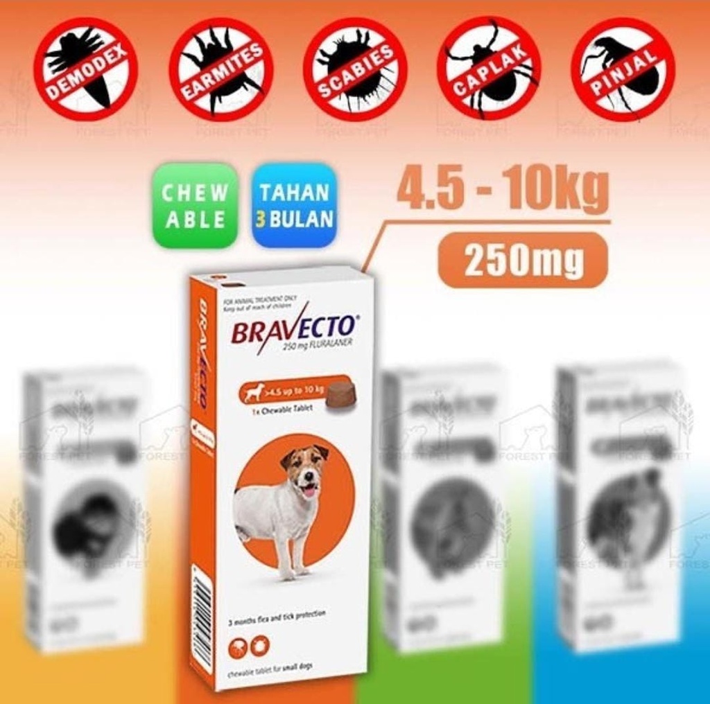 MSD | BRAVECTO 250 mg (4.5-10 kg) | 1 tablet