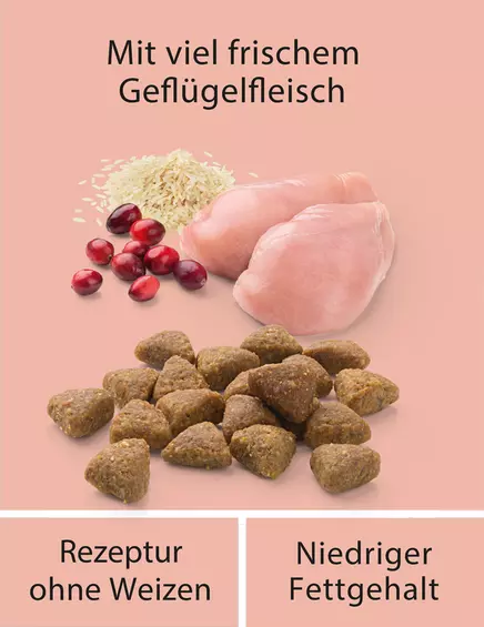 MERA | FF STERILIZED | 1.5Kg