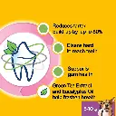 PEDIGREE | DENTASTIX (DOG) - 5-10 kg | 7 sticks