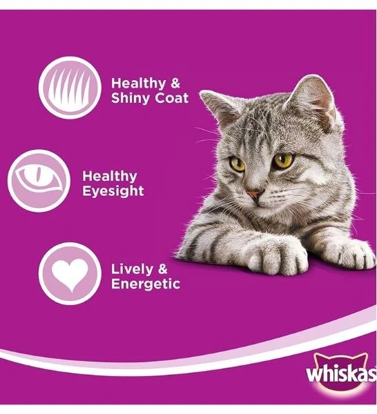 WHISKAS | 1+ Years Cat Food - Ocean Fish | 80 gm