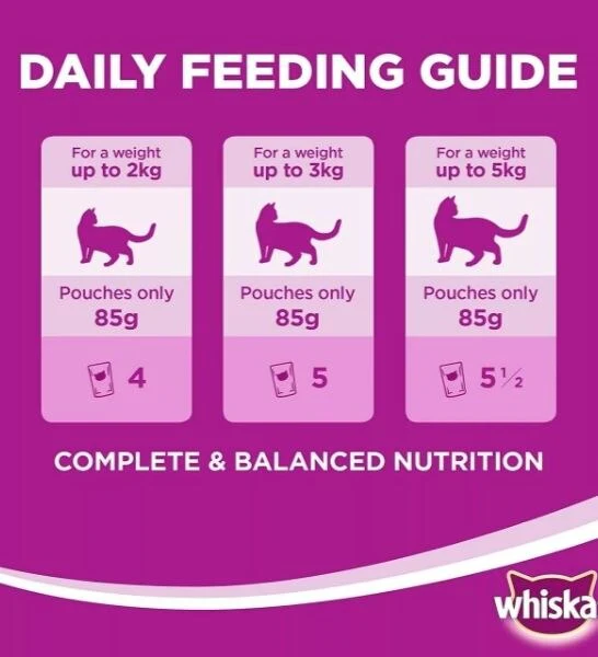 WHISKAS | 1+ Years Cat Food - Ocean Fish | 80 gm