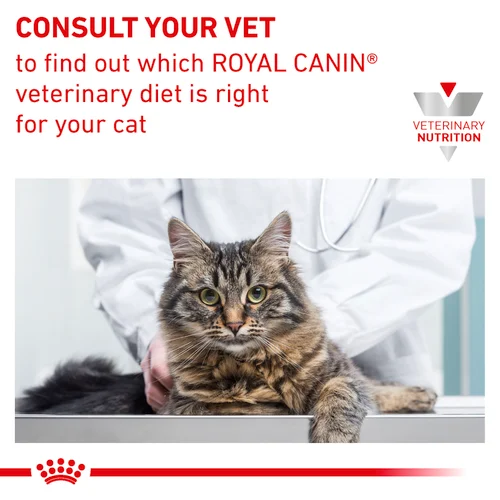 ROYAL CANIN | GASTROINTESTINAL (Fibre Response) - Cat | 2 kg