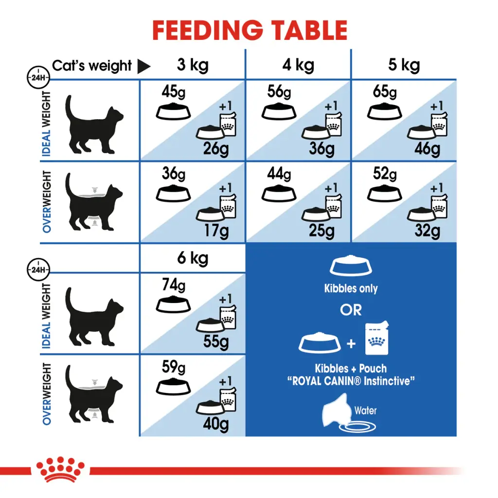 ROYAL CANIN | HOME LIFE INDOOR - Cat | 400 gm