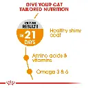 ROYAL CANIN | HAIR & SKIN CARE - Cat | 2 kg