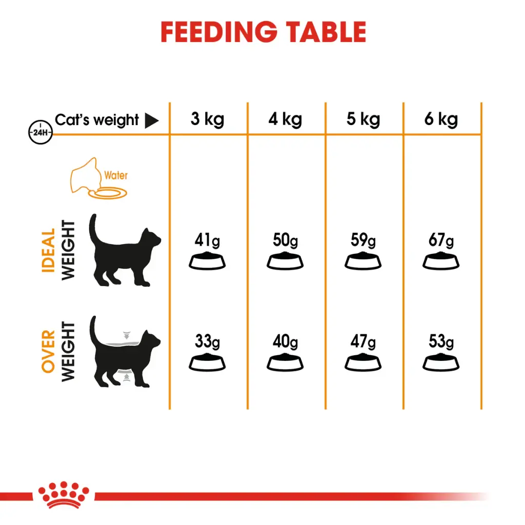 ROYAL CANIN | HAIR & SKIN CARE - Cat | 2 kg