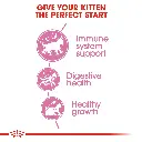 ROYAL CANIN | KITTEN < 12 months | 2 kg