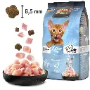 bl-produktcomp-trofu-kitten-gf_1920x1920.webp