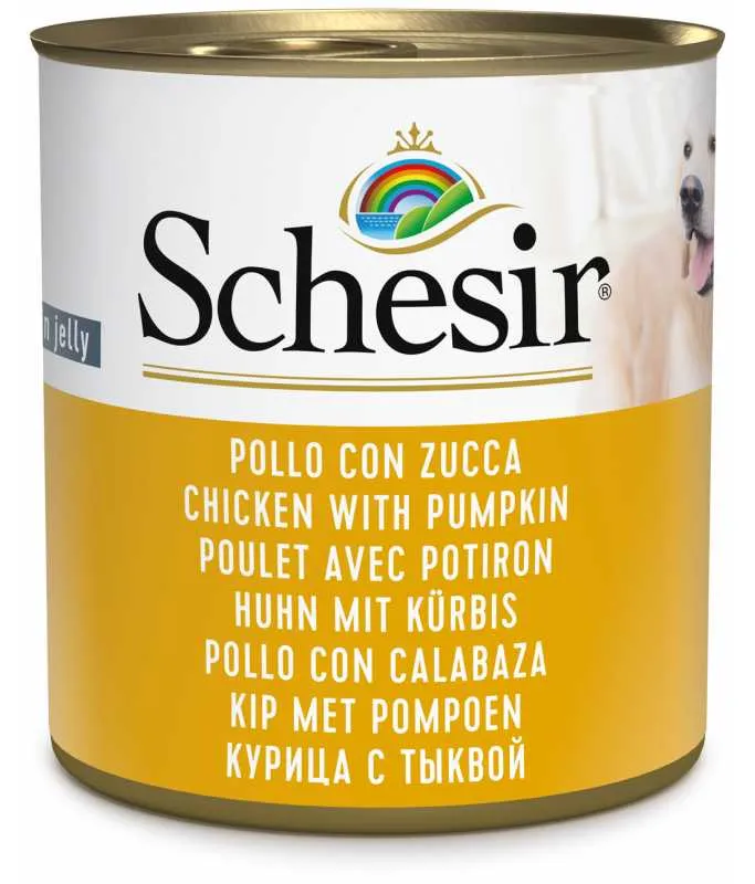 Schesir Dog Wet Food 285g Chicken with Pumpkin