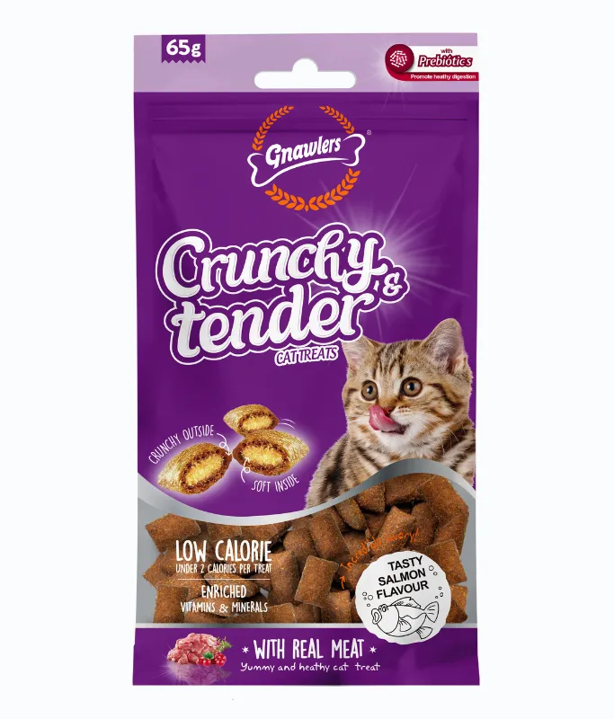 Gnawlers Crunchy & Tender Cat Treats 65g Salmon Flavour