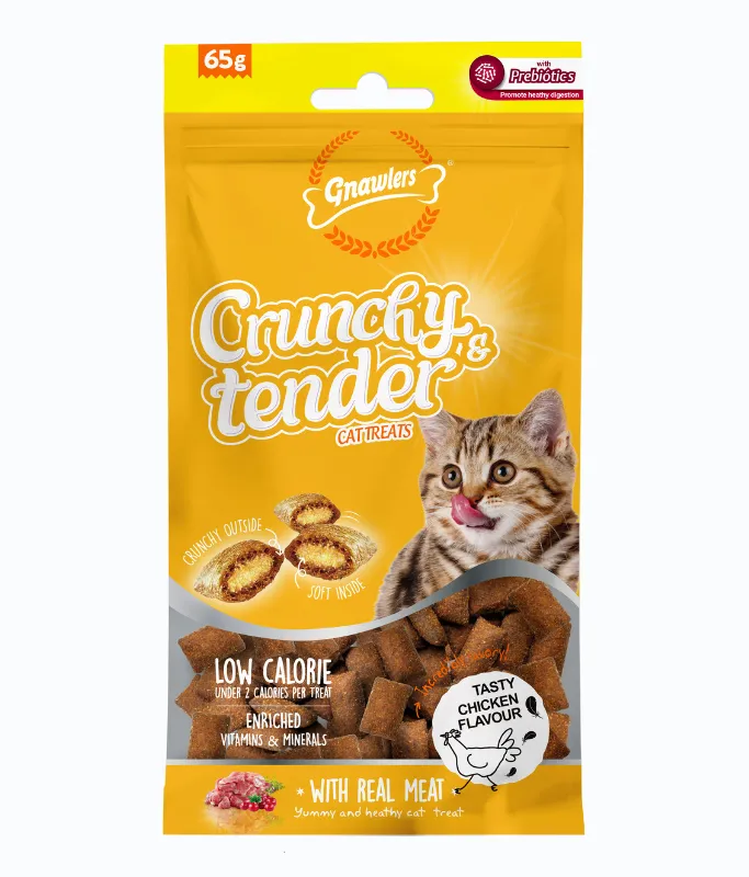 Gnawlers Crunchy & Tender Cat Treats 65g Chicken Flavour
