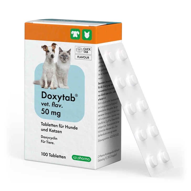 CP PHARMA Doxytab vet. flav. 50 mg 10 tablets