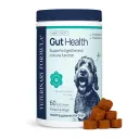 Synergy Labs Veterinary Formula Gut Health Formulated Probiotic Chews Supplement for Dogs 225g [60 Soft Chews]