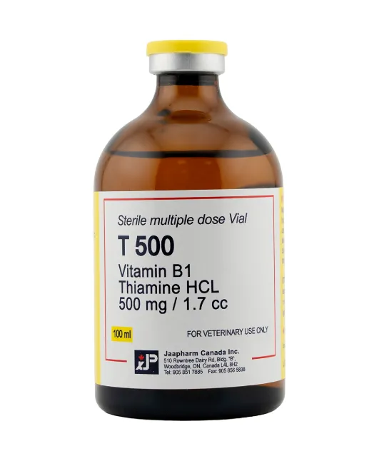 JAA PHARM T 500 Vitamin B1 injection 100ml Vial