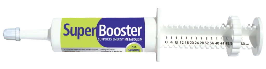 MERVUE Super Booster Paste for Horses 60ml