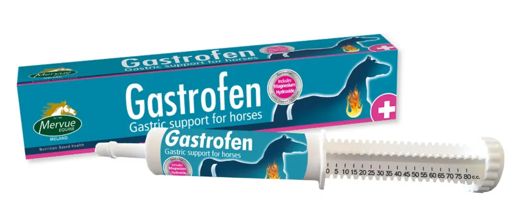 MERVUE Gastrofen Paste for Horses 80ml