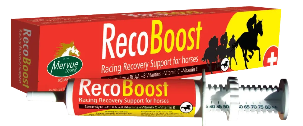 MERVUE RecoBoost Paste for Horses 80ml