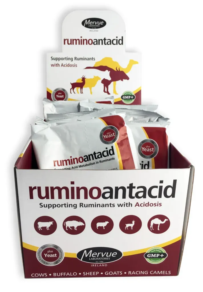 MERVUE Ruminoantacid 320g Sachet