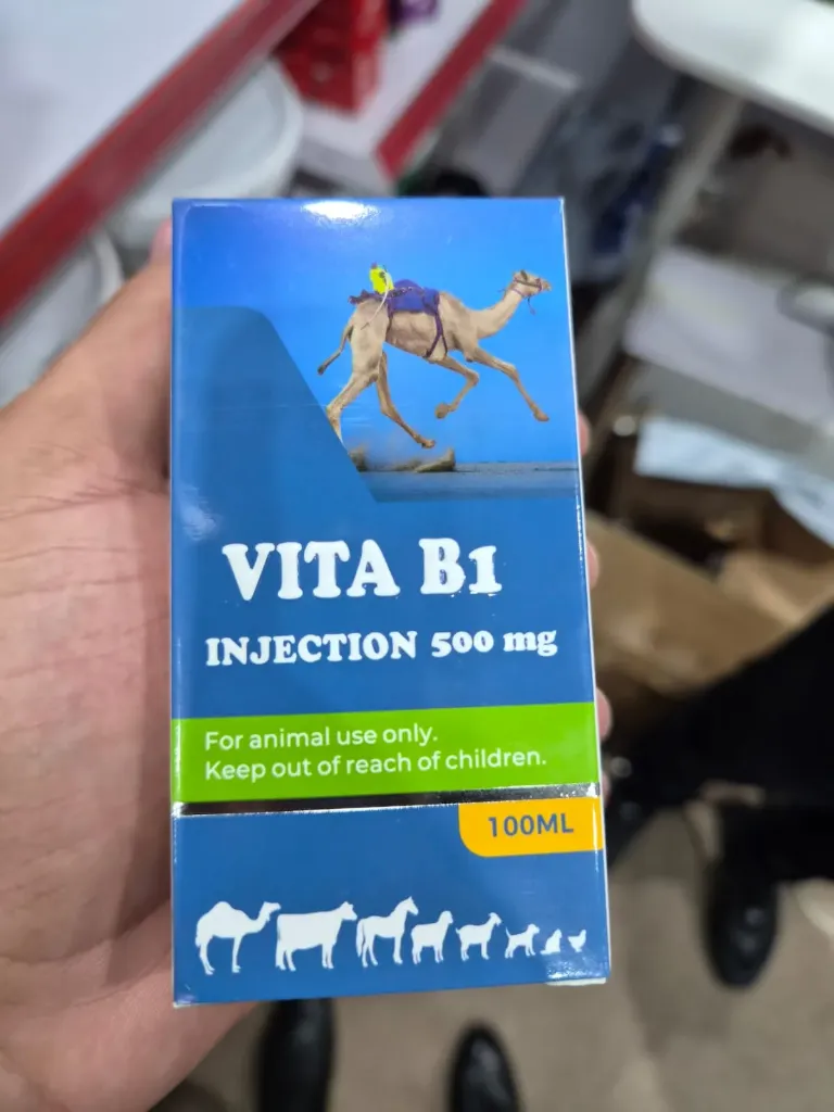 HEBEI TEAMTOP Vitamin B1 Injection 100ml