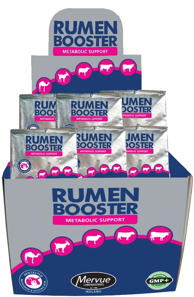 MERVUE Rumen Booster 100g Sachet Metabolic support