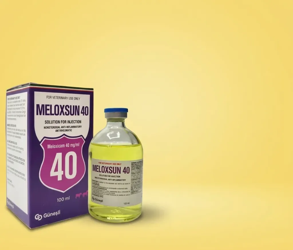 Meloxsun 40mg 100 ml Vial