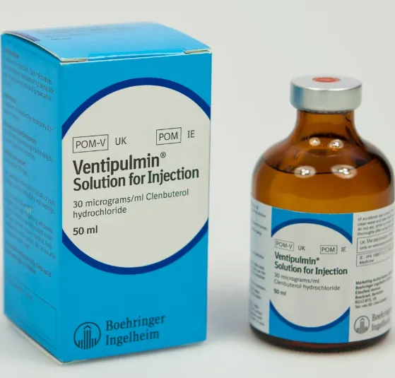 BOEHRINGER INGELHEIM Ventipulmin 30 mcg/ml Solution for Injection 50ml