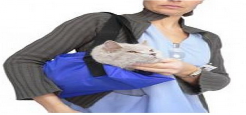 Cat Examination Bag | small