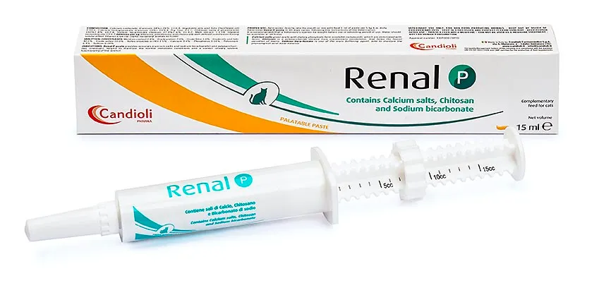 CANDIOLI RENAL P - Paste 15 gm