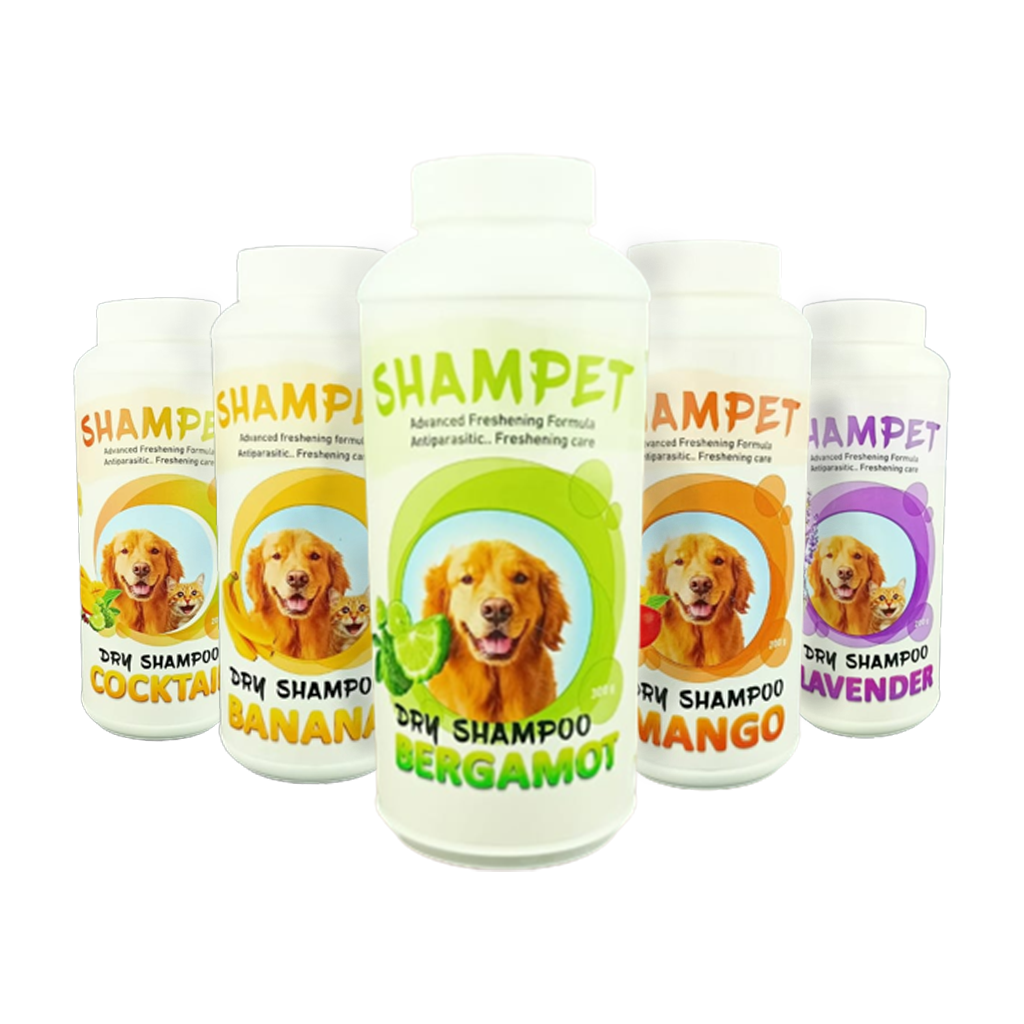 FOR VET Shampet Dry Shampoo Mango 200 gm