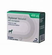 DECHRA Thyforon Flavoured 400 mcg 10 Tablets