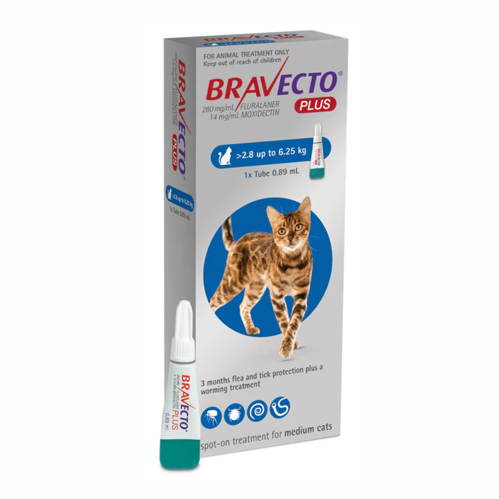 MSD Bravecto Plus Cat (2.8-6.25 kg) 1 Tube