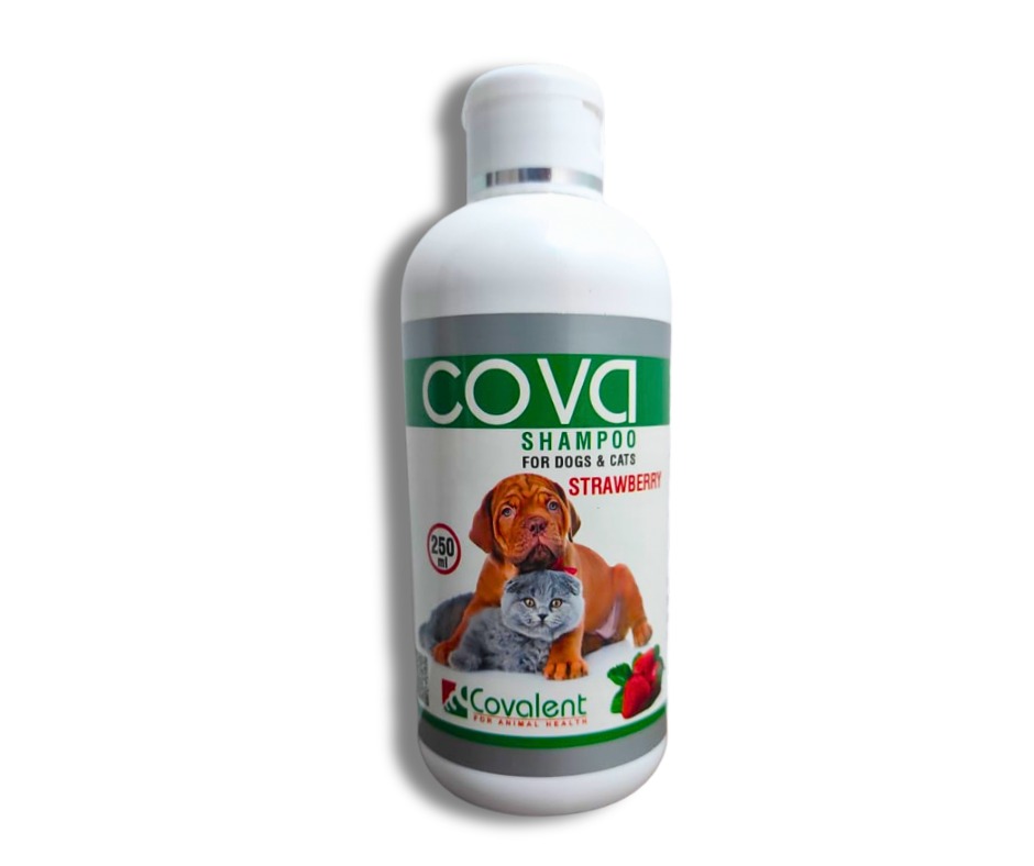 COVALENT | COVA SHAMPOO - Strawberry | 250 ml