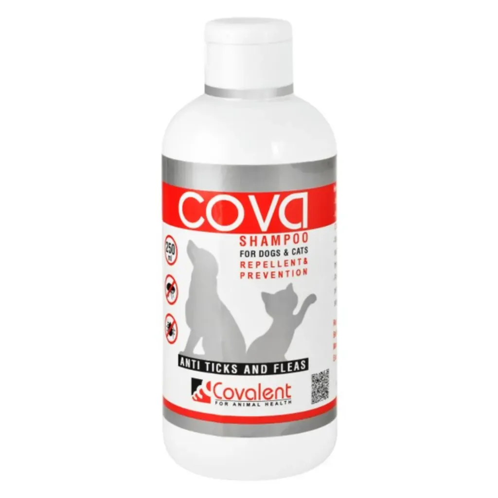 COVALENT | COVA FOAM - Candy | 250 ml