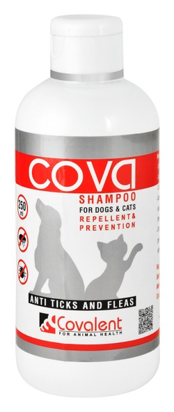 COVALENT | COVA FOAM - Candy | 250 ml