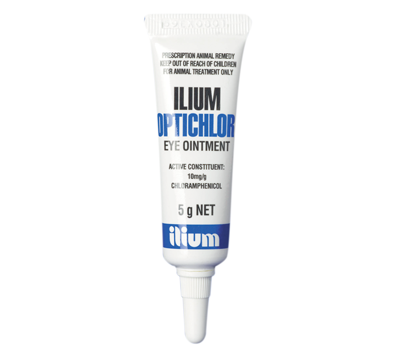 TROY Ilium Optichlor Eye Ointment 5 gm