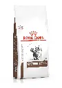 ROYAL CANIN | GASTROINTESTINAL - Cat | 2 kg