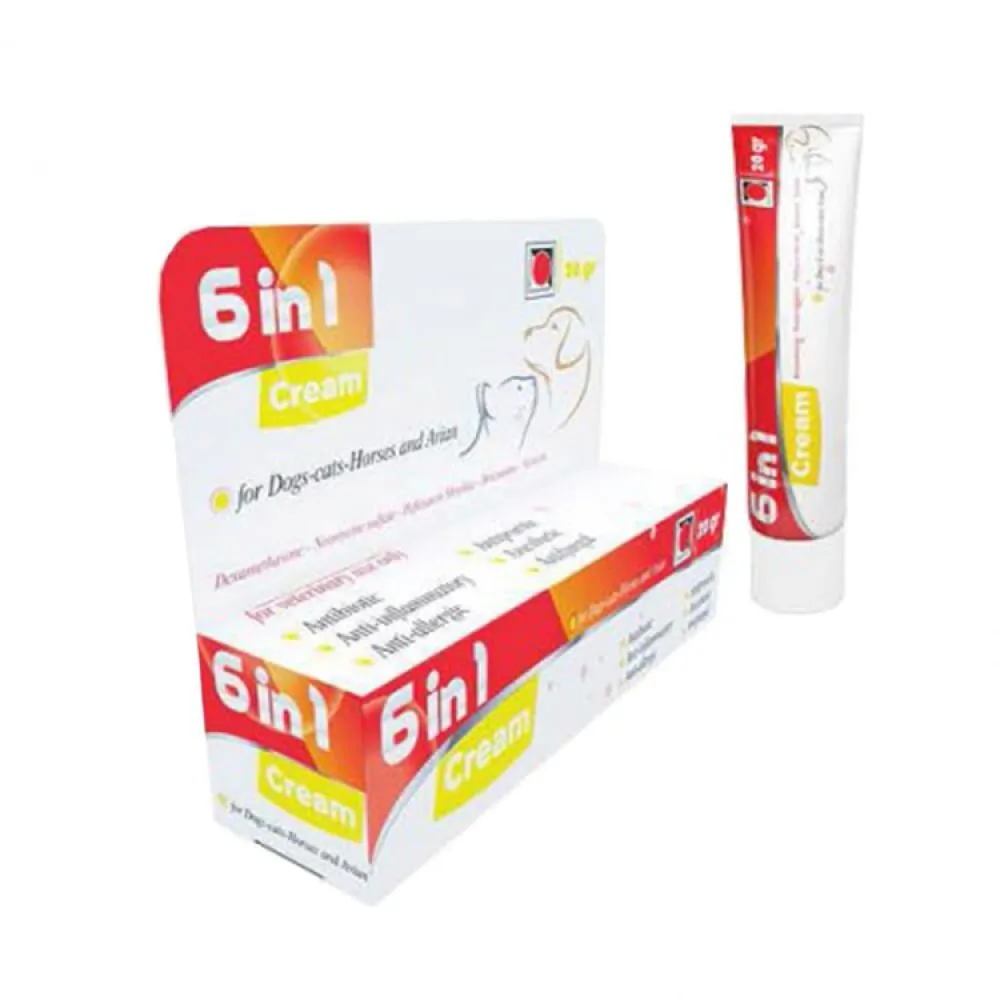 6 IN 1 CREAM | 20 gr
