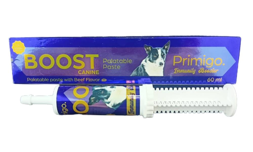 EVA | PRIMIGO (BOOST) PASTE - CANINE | 60 ml