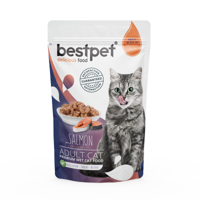 BESTPET Adult Cat Salmon In Jelly Pouch 85 gm