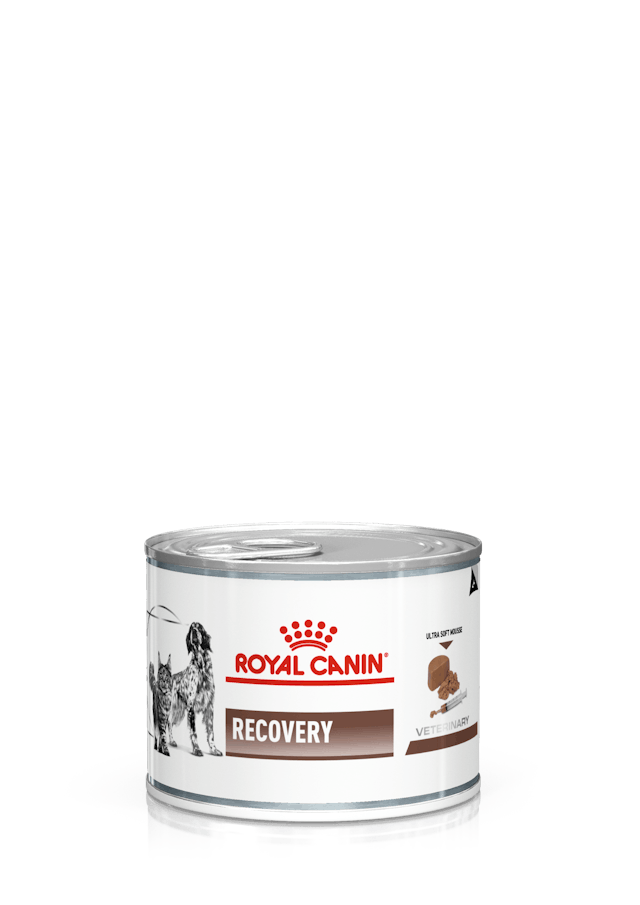 ROYAL CANIN Veterinary Recovery Ultra Soft Mousse Diabetic Dogs & Cats 195 gm