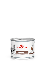ROYAL CANIN Veterinary Recovery Ultra Soft Mousse Diabetic Dogs & Cats 195 gm