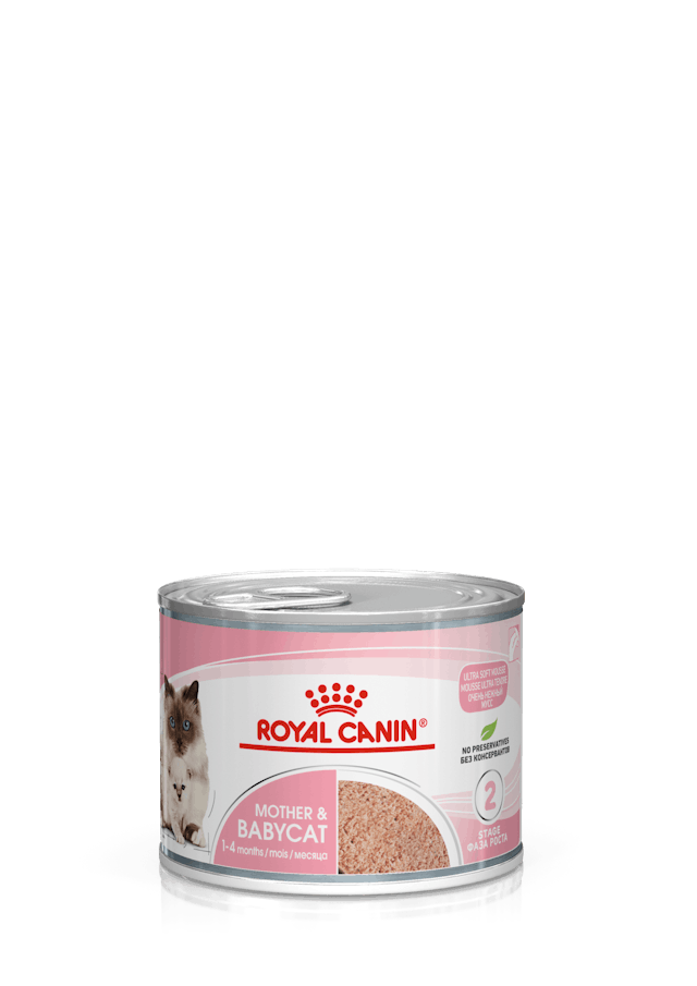 ROYAL CANIN | MOTHER & BABYCAT 1-4 Months | 195 gm 
