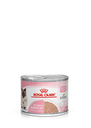 ROYAL CANIN | MOTHER & BABYCAT 1-4 Months | 195 gm 