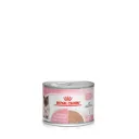 ROYAL CANIN Mother & BabyCat 1-4 Months 195 gm