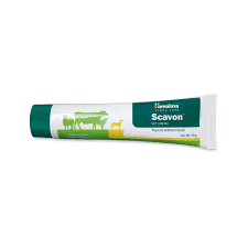 HIMALAYA Scavon Cream For Dogs & Cats 50 gm (UAE Stock)