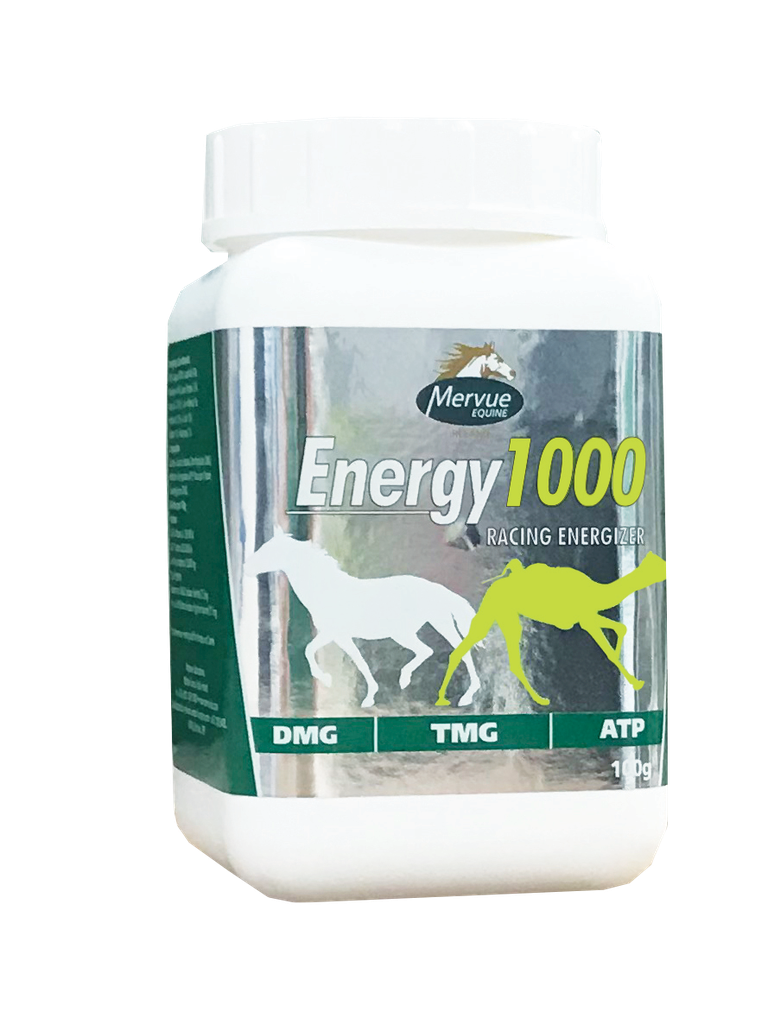 MERVUE Energy1000 Racing energizer100 gm DMC TMG ATP